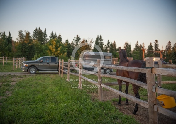 Arriving at Horse Campgrounds