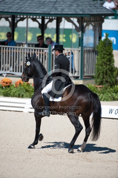 Alltech WEG Eventing Hot Horse