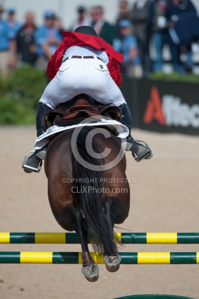Alltech WEG Show Jumping Hocks in Action