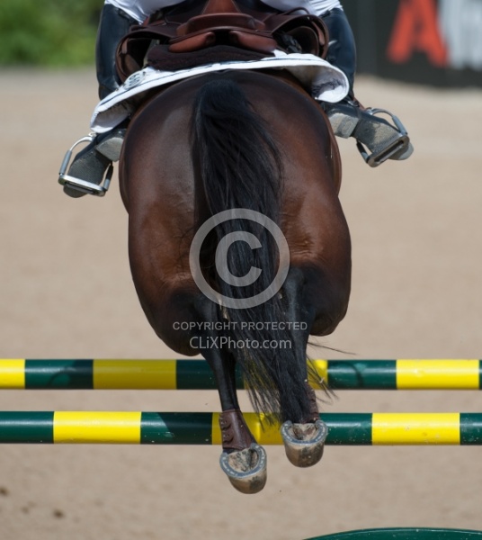 Alltech WEG Show Jumping Hocks in Action