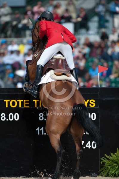 Alltech WEG Show Jumping Hocks in Action