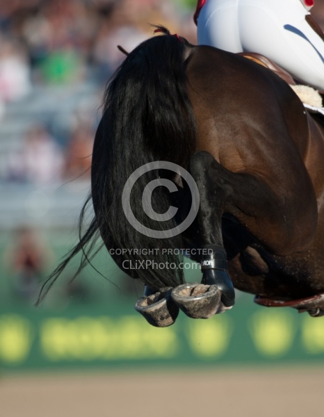 Alltech WEG Show Jumping Hocks in Action