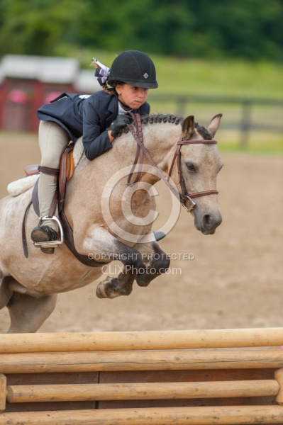 Short Stirrup Over Fences