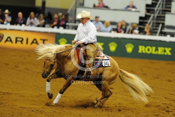 Alltech WEG Reining Tim McQuay and Hollywoodstinseltown WEG 2010