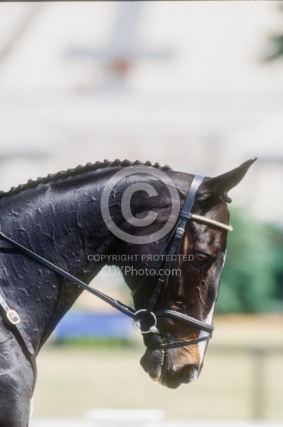 David Oconnor and Custom Made Sydney OL 2000