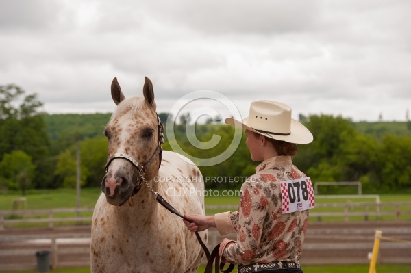 Appaloosa in Showmanship