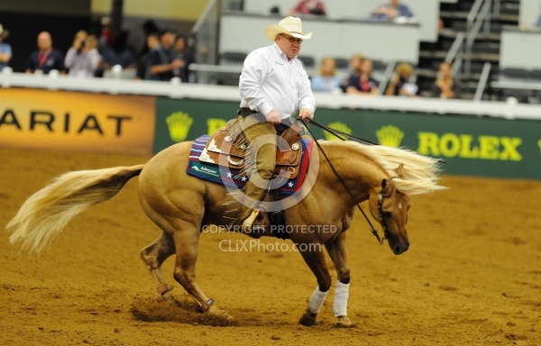 Alltech WEG Reining, Tim Mcquat and HollewoodsTinseltown Tim McQuay and Hollywoodstinseltown WEG 2010