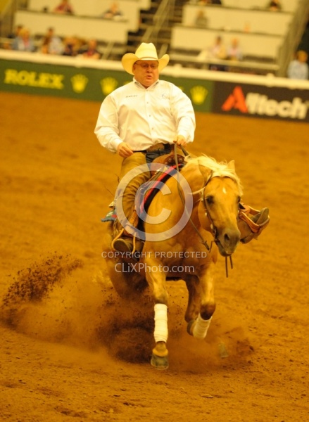 Alltech WEG Reining, Tim Mcquat and HollewoodsTinseltown Tim McQuay and Hollywoodstinseltown WEG 2010