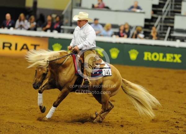 Alltech WEG Reining, Tim Mcquat and HollewoodsTinseltown Tim McQuay and Hollywoodstinseltown WEG 2010