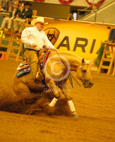 Alltech WEG Reining, Tim Mcquat and HollewoodsTinseltown Tim McQuay and Hollywoodstinseltown WEG 2010