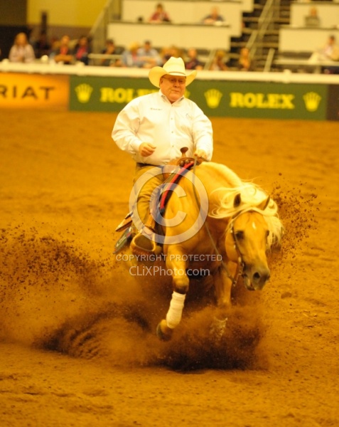 Alltech WEG Reining, Tim Mcquat and HollewoodsTinseltown Tim McQuay and Hollywoodstinseltown WEG 2010