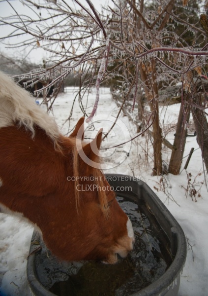 Keeping Water Thawed in Winter