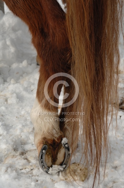 Winter Shoes with Studs or Corks