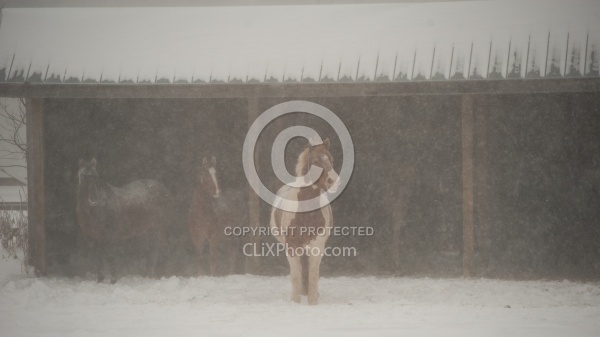 Run In Shelter in Winter
