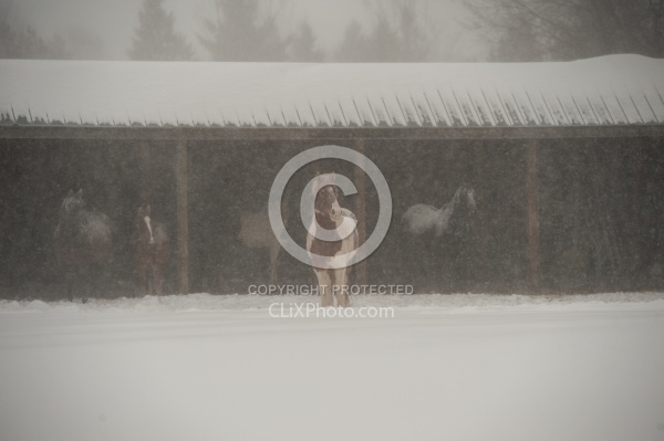 Run In Shelter in Winter