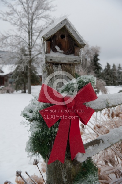 Winter Holiday Theme