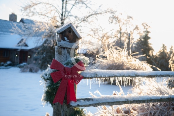 Winter Holiday Theme