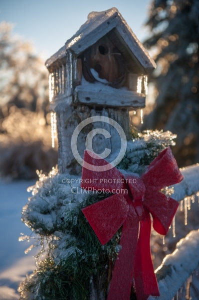 Winter Holiday Theme