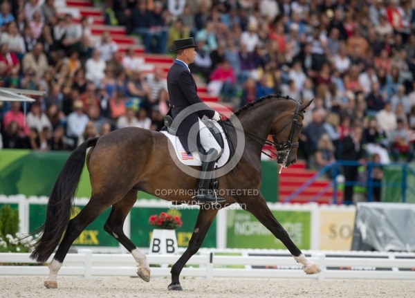 WEG 2014 Normandy
