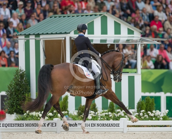 Laura Graves and Verdades grand Prix Special WEG 2014 Normandy,