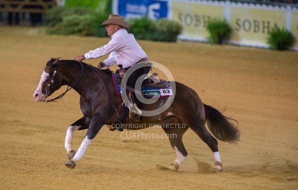 Shawn Flarida and Spooks Gotta Whiz Indivudual Final Winner WEG