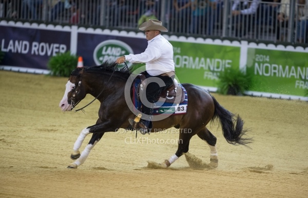 Shawn Flarida and Spooks Gotta Whiz Indivudual Final Winner WEG