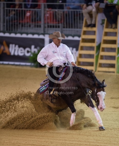Shawn Flarida and Spooks Gotta Whiz Indivudual Final Winner WEG