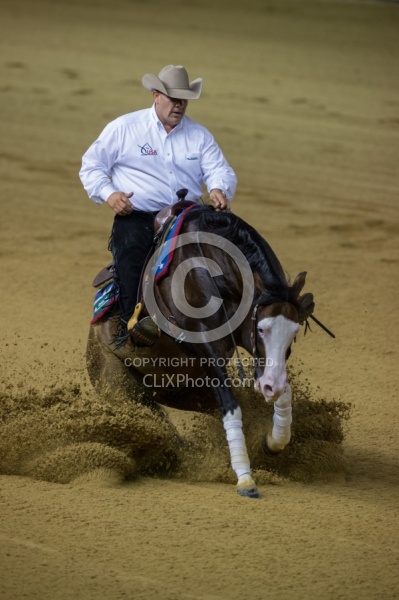 Shawn Flarida and Spooks Gotta Whiz Indivudual Final Winner WEG