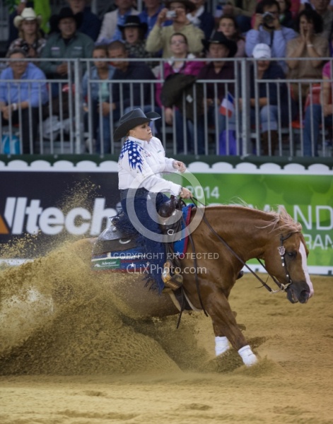 Mandy McCutcheon and Yellow Jersey Bronze Ind Reining WEG 2014 N