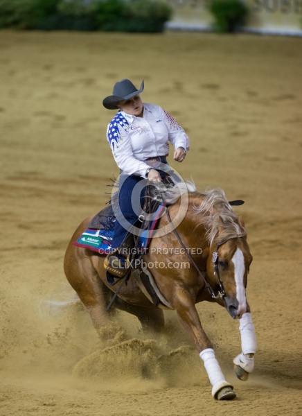 Mandy McCutcheon and Yellow Jersey Bronze Ind Reining WEG 2014 N