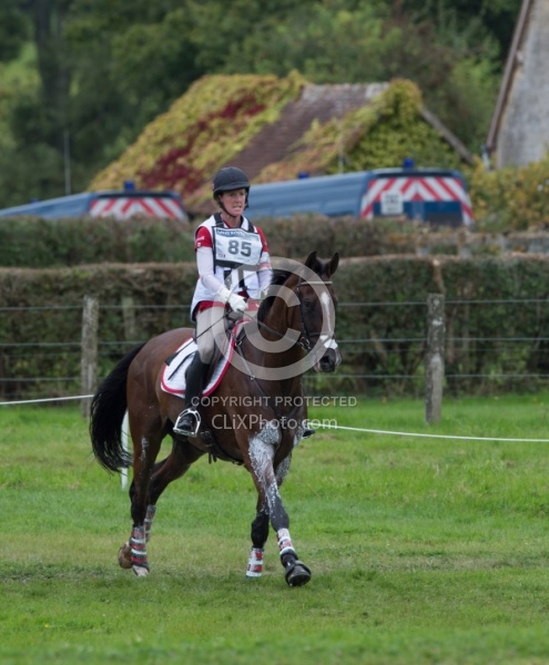 Selena O Hanlon and Foxwood High on course at WEG 2014 Normandy,