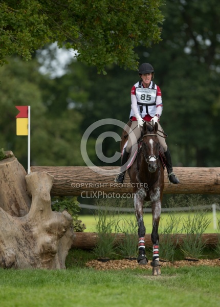 Selena O Hanlon and Foxwood High on course at WEG 2014 Normandy,