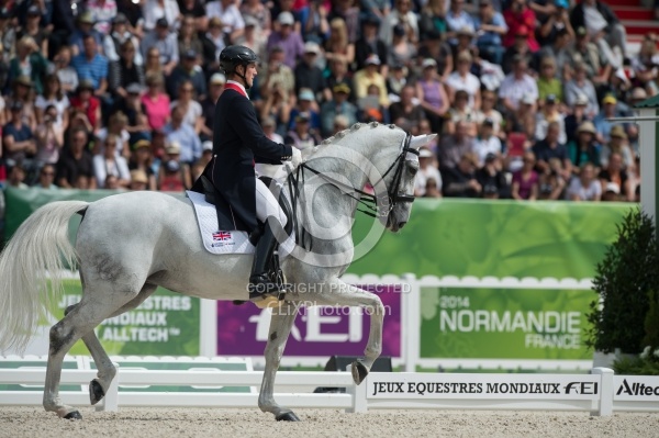 Michael Eilberg and Half Moon Delphi Grand Prix Freestyle WEG 20