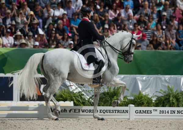 Michael Eilberg and Half Moon Delphi Grand Prix Freestyle WEG 20