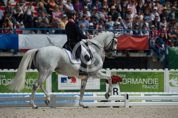 Michael Eilberg and Half Moon Delphi Grand Prix Freestyle WEG 20