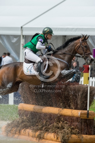 Camilla Speirs IRL and Portersize Just a Jiff on course at WEG
