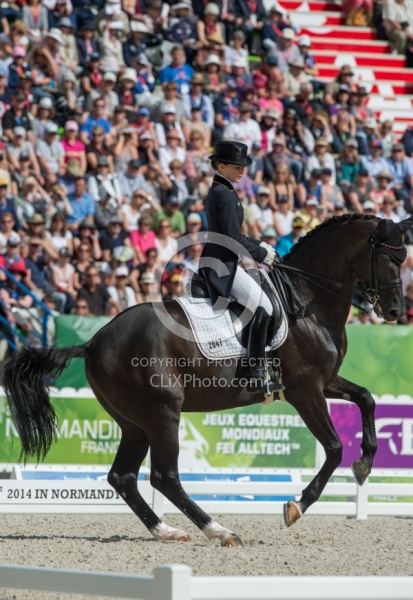 WEG 2014 Normandy