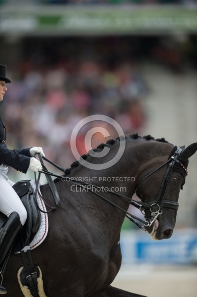 Kristina Sprehe and Desperados FRH Grand Prix Special WEG 2014 Normandy, France