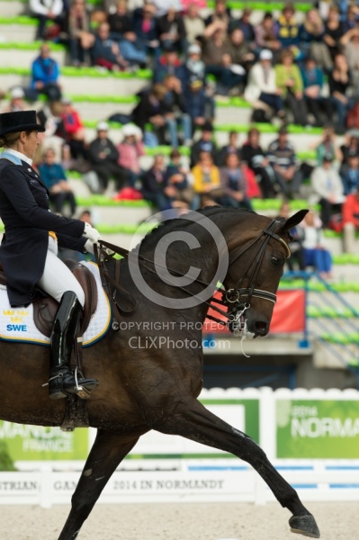 Tinne Vilhelmson Silfven and Don Auriello Team Grand Prix WEG 20