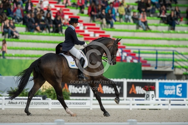 Tinne Vilhelmson Silfven and Don Auriello Team Grand Prix WEG 20