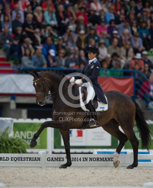 Tinne Vilhelmson Silfven Grand Prix Special WEG 2014 Normandy, F