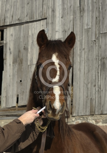 Deworming