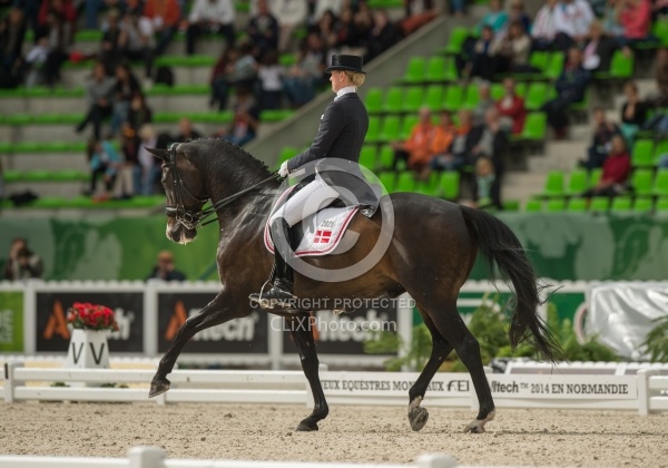 Nathalie zu Sayn-Wittgenstein and Digby Team Grand Prix WEG 2014