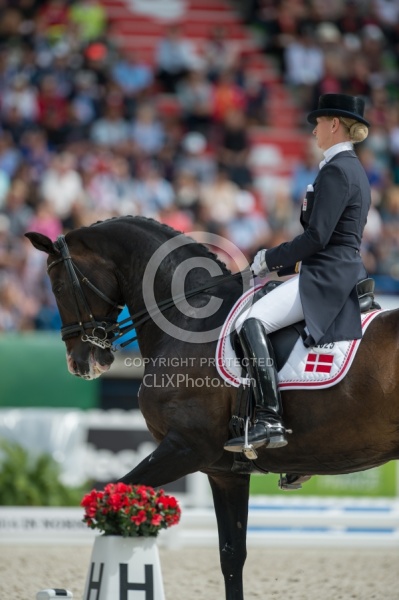 Nathalie zu Sayn Wittgenstein and Digby Freestyle WEG 2014 Norma