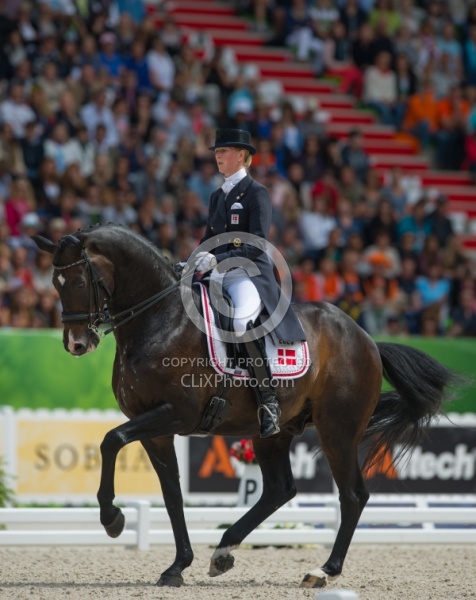 Nathalie zu Sayn Wittgenstein and Digby Freestyle WEG 2014 Norma