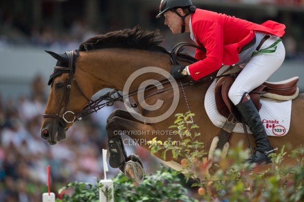 WEG 2014 Normandy