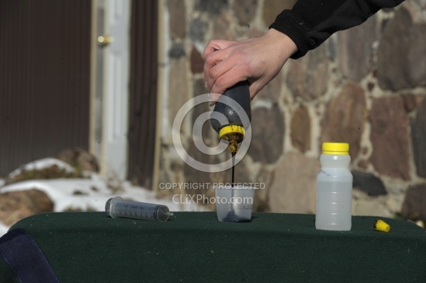 Molasses trick for Deworming