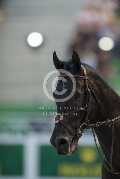 Beezie Madden and Cortes  C  WEG 2014 Normandy