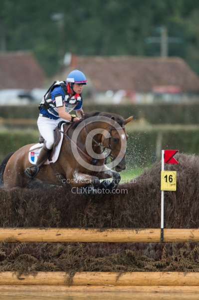 WEG 2014 Normandy