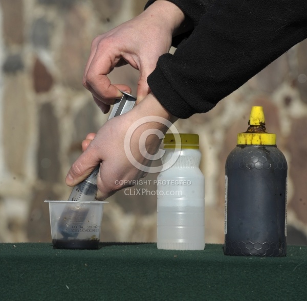 Molasses trick for Deworming